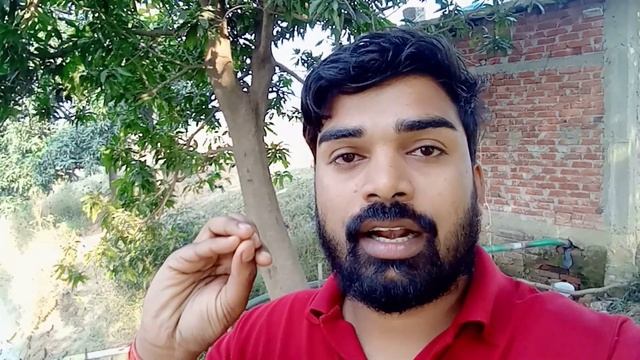 10 हजार पंगाश मछली तालाब में डालने में total खर्च और total कमाई।। смотреть онлайн