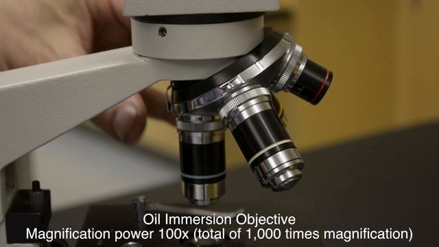 Hands On Microscope смотреть онлайн