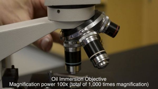 Hands On Microscope