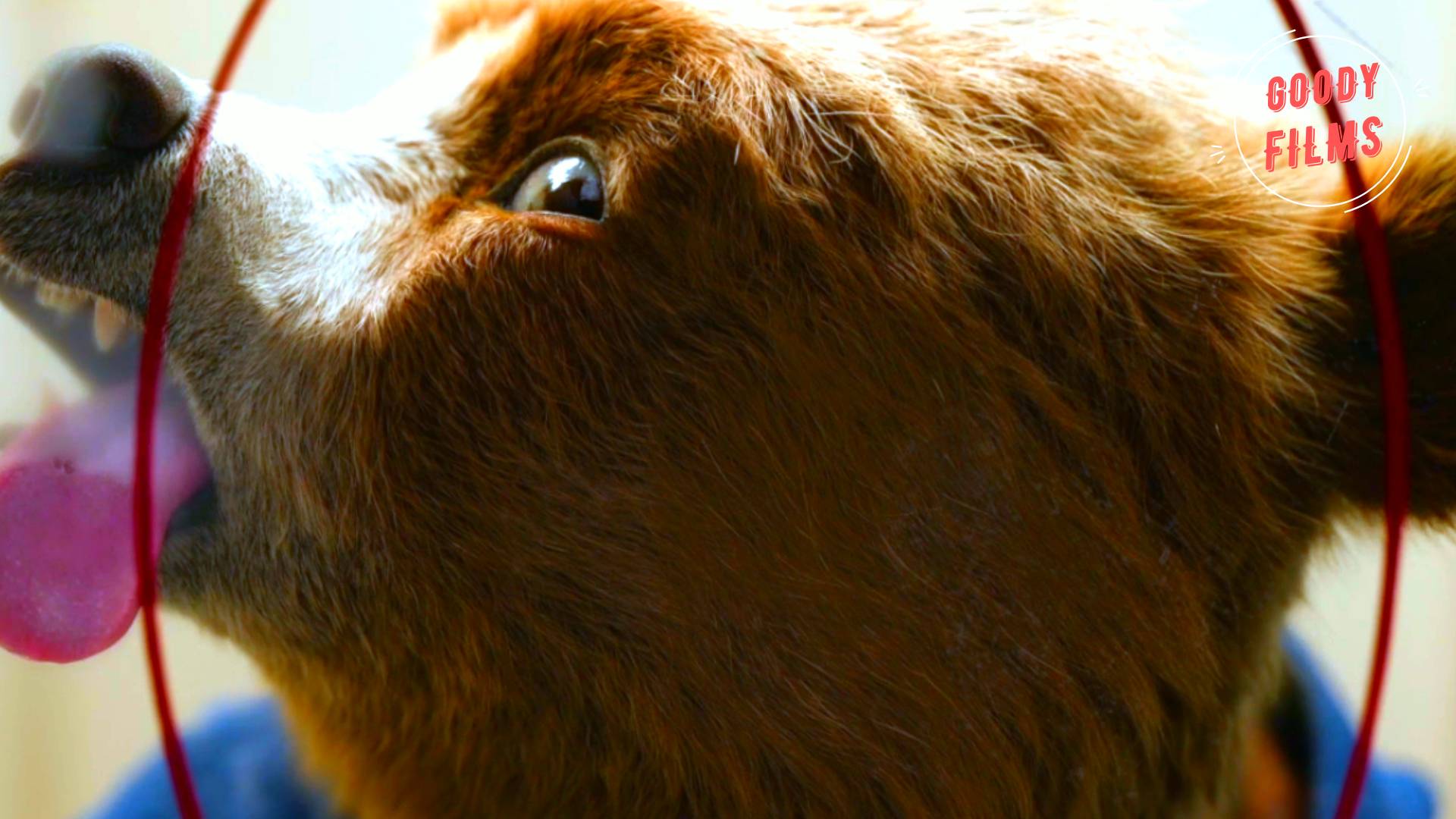 Приключения Паддингтона 3 - Русский Трейлер (Дубляж, 2024) смотреть онлайн