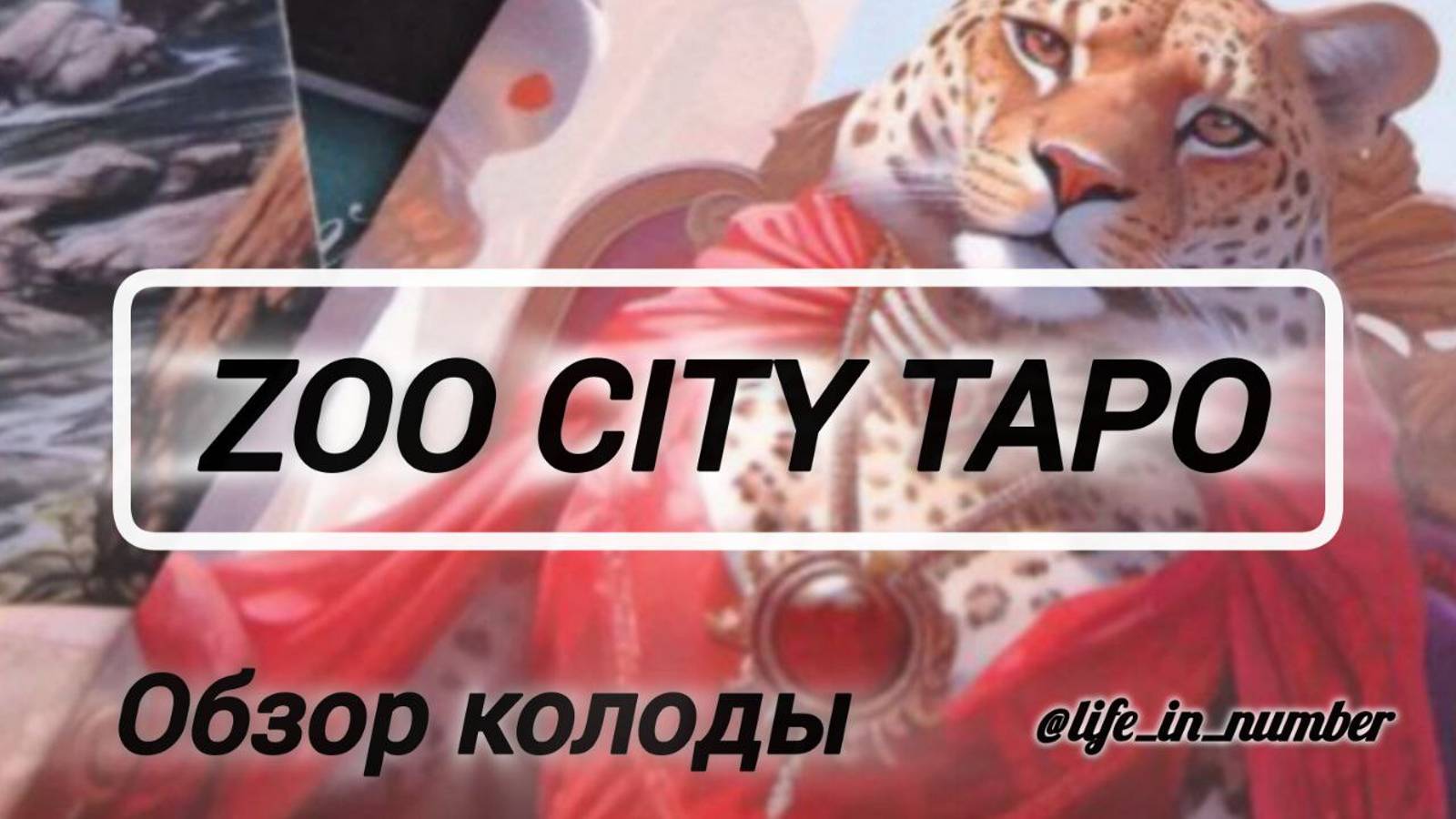 ТАРО ZOO CITY от @StoreTaro + РАСКЛАД смотреть онлайн