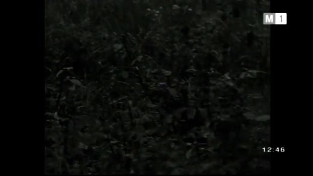 Numai cantecul ramane - Tamara Ciobanu, Gheorghe Esanu, Tamara Chitaniuc смотреть онлайн