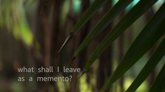 Haiku by Ryokan: Zen Wind смотреть онлайн