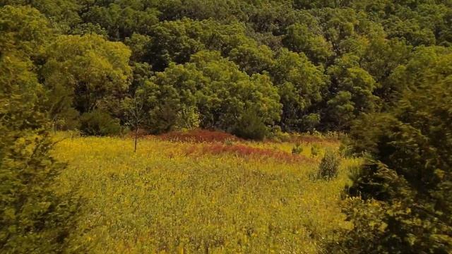 4K DJI Mini 3 Pro And DJI Goggles 2  #dji #fpv #camping #wisconsin #rv #summer #cinematic