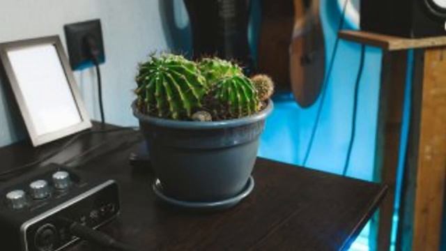 LAST WEEK PHOTOS M/V смотреть онлайн