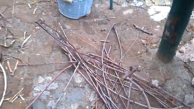 Подрібнювач гілок, перше випробування смотреть онлайн