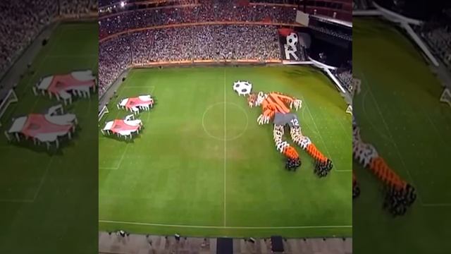 Best Performance🤩