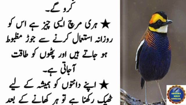How To Get Rid Of Gas And Constipation For Life (2 Kaam Rozana Kar Lo) Love Quotes|Quotes In Urdu смотреть онлайн