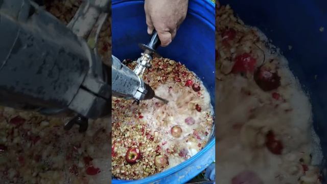 Бъркалка за разбиване на плодове смотреть онлайн