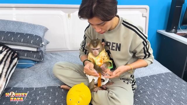 Monkey Kaka brought lucky money and asked mom to save piggy bank смотреть онлайн