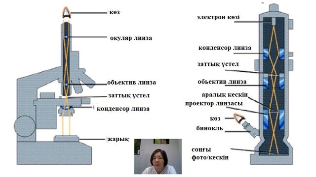 11_кл_оптика және электронды микроскоптың үлкейту және айқындау арасындағы айырмашылықтар. смотреть онлайн