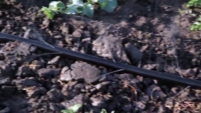 Шланг туман Спрей шланг Golden Spray смотреть онлайн