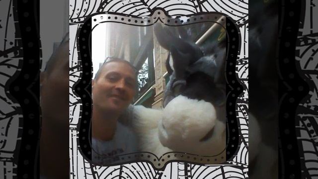Friends and family over the last couple years..i luv u all! смотреть онлайн