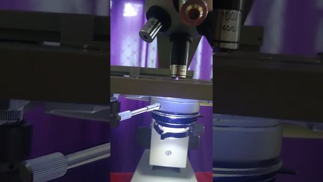 Microscopio Laboval II ZEISS