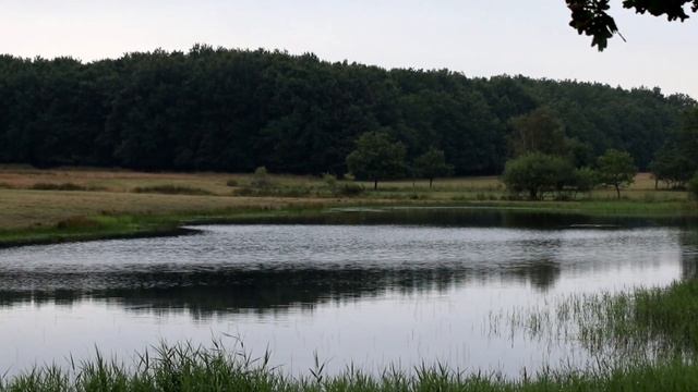 Just taking some relaxe viewing from last year. смотреть онлайн