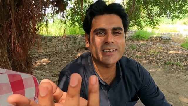 Dharmarajika Stupa Unveiling the Spiritual Legacy of Taxila смотреть онлайн