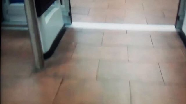 I Guess I Saw This Control Coming (My Videos From Last Year)(Still Sending Love) смотреть онлайн