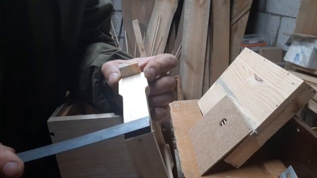 размеры нуклеуса