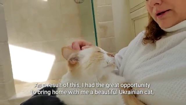 Greater Good Charities Ukraine Response: Julie and George’s Story смотреть онлайн