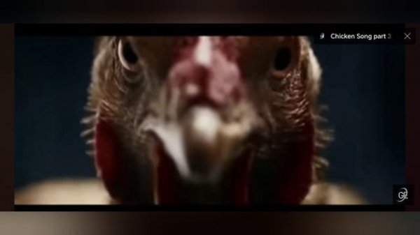 Chicken Song. Песня петуха. Детская песня. Детское диско.