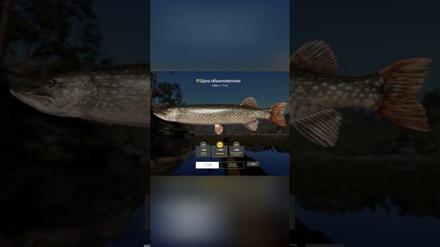 Перспективная точка в рубрике Случайный водоем