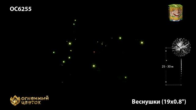 OC6255 смотреть онлайн