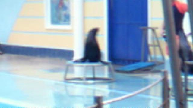 DSCF0032Море Турбаза Приморская Новомихайловский  2021 год.