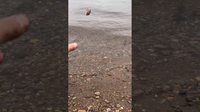 Поймал огромного леща смотреть онлайн