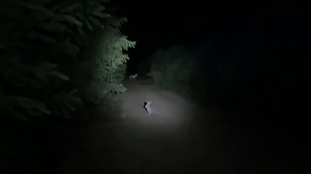 Настройка и Юстировка Лазерного дальномера для серии iRay Rico смотреть онлайн