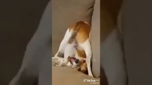 включи когда грусно