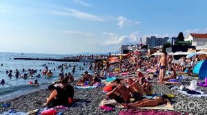 Адлер 2024  БЕСПЛАТНЫЕ мидии НА  ПЛЯЖЕ. Адлер 2024