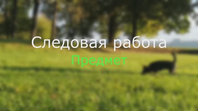 Следовая работа, предмет и старт с предмета смотреть онлайн