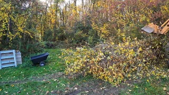 Clearing trees around an OLD barn with a Chinese mini excavator смотреть онлайн