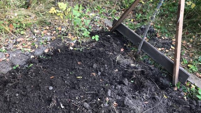 Делаю богатую органикой грядку и садовые дорожки. Спасаю каменную розу смотреть онлайн
