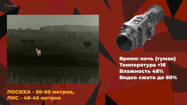 Тепловизионный прицел IRAY SAIM SCP19W обзор, возможности, тесты на дистанциях смотреть онлайн