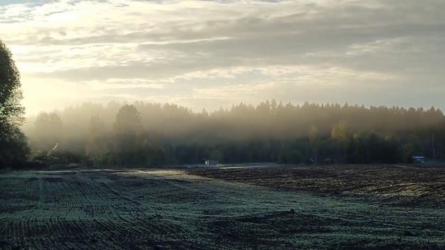 Осеннее утро. Прогулка с другом. Живу и создаю свою Школу здесь, среди лесов и полей. Тихая радость смотреть онлайн