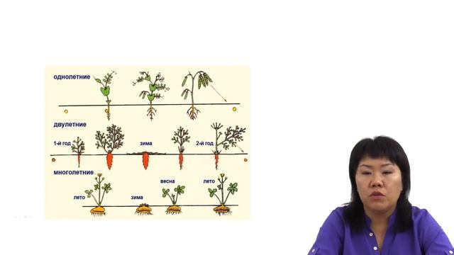 Строение растений смотреть онлайн