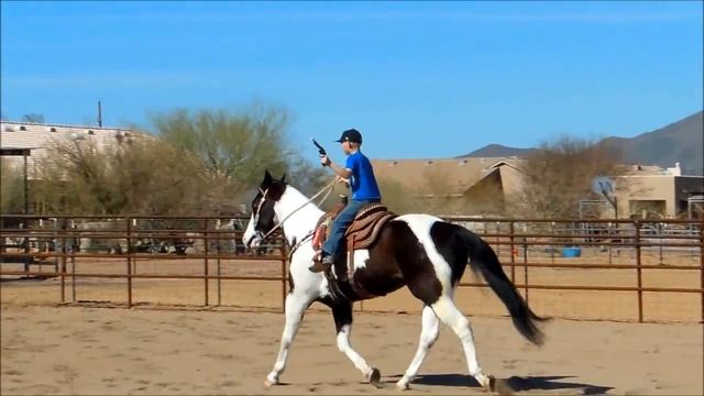 BENTLEY - 2008 BLACK AND WHITE TOBIANO GELDING FOR SALE смотреть онлайн