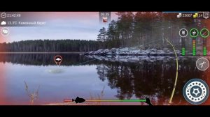 My Fishing World #38 // Каменный призрак на КАМЕННОМ БЕРЕГУ...