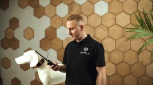 GPS ошейники ARTELV Tracker Solo   распаковка