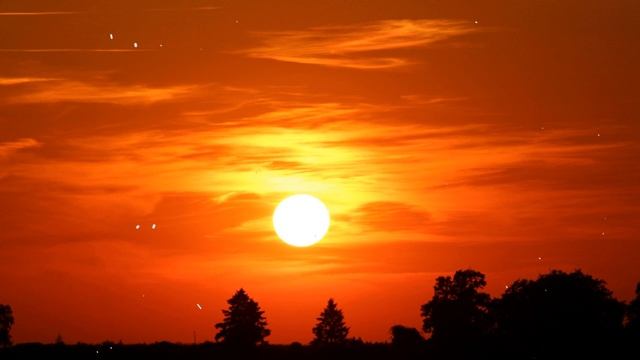 Studying Music Piano Music Alissa Pablo Hogan Clayton Hayley Mcdowell Enzo Moon смотреть онлайн