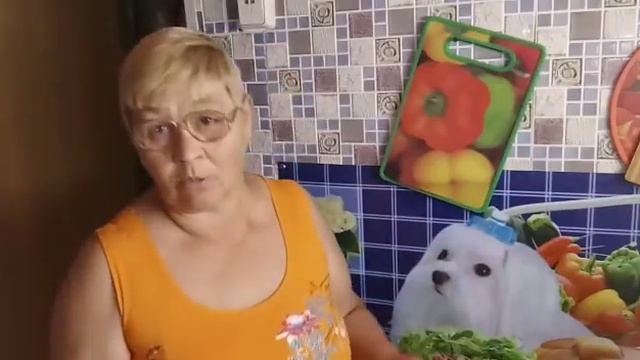 Где же лето? Одни дожди-сидим дома и вяжем. смотреть онлайн