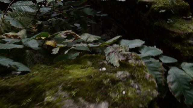 Волхонские развалины смотреть онлайн