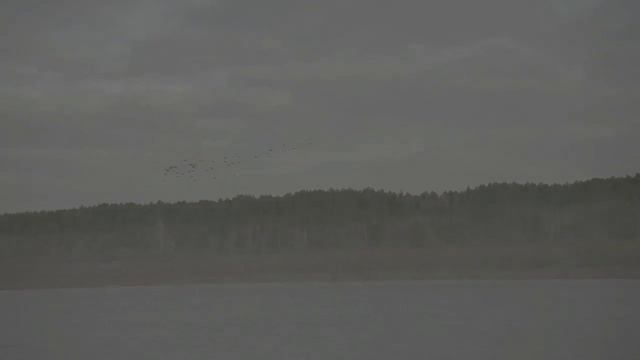 Orionboat 6.0 ProSerias