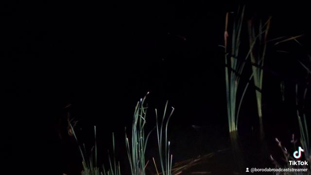 Рыбалка, осень и тушёнка с макаронами) смотреть онлайн