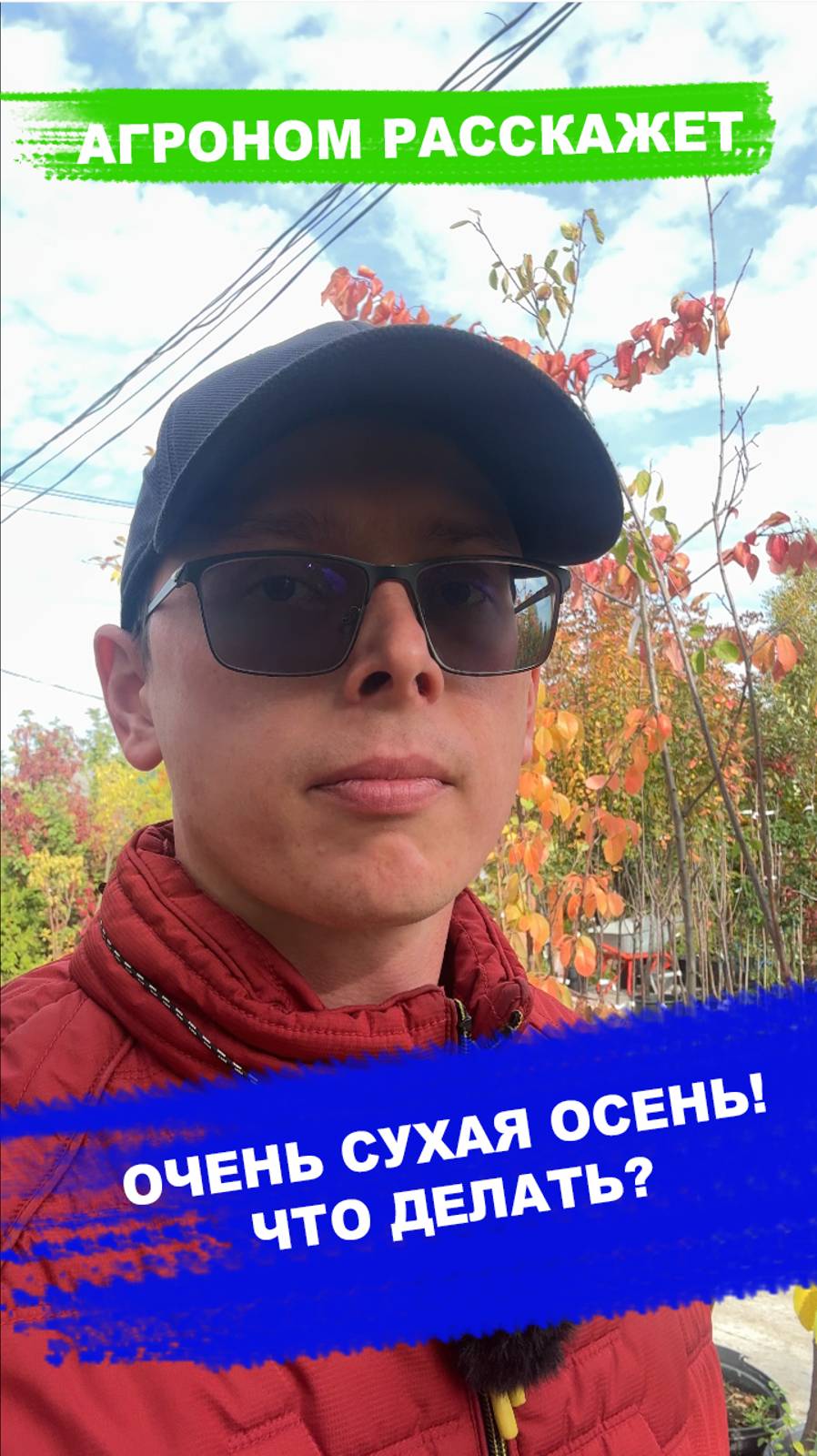 Как пересаживать крупные растения смотреть онлайн