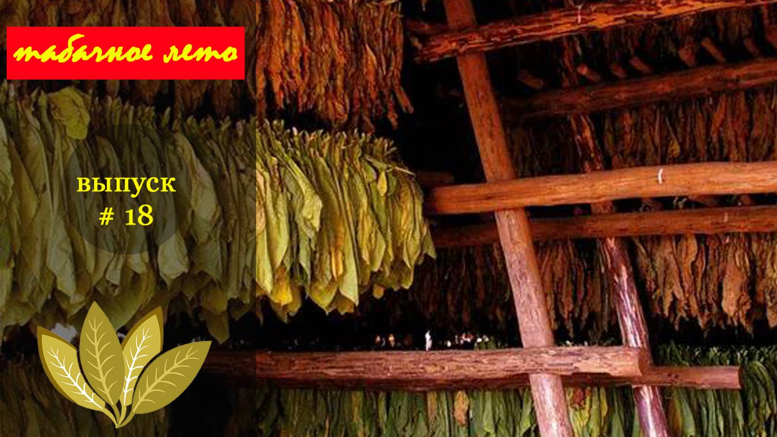 Выпуск #18 Ферментация табака. #табак смотреть онлайн