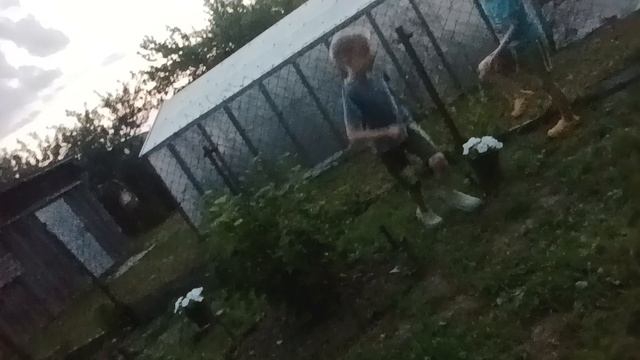 1000067231.mp4 смотреть онлайн