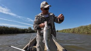 НАША РЫБАЛКА В АСТРАХАНИ (2024) часть 5