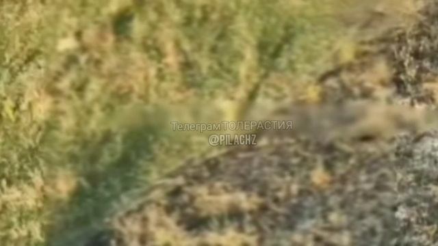 ⚡️СВО 18+ ВСУшник разлетелся в щепки, во время попытки сбить наш дрон из автомата в открытом поле! смотреть онлайн